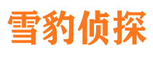 花垣寻人公司